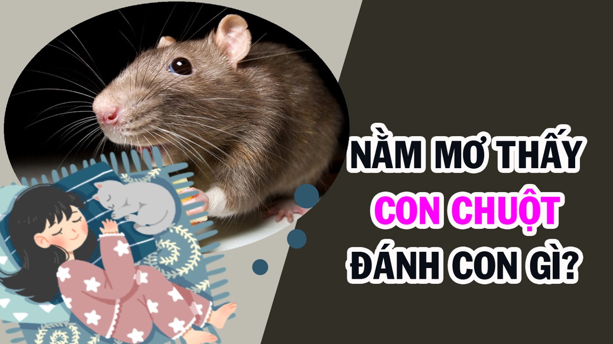 mơ thấy giết chuột đánh con gì - Hình 4