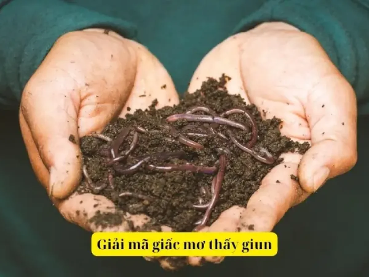 mơ thấy giun đất đánh con gì - Hình 4