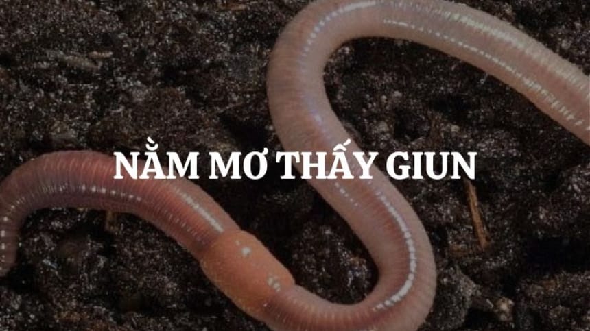 mơ thấy giun đất đánh con gì - Hình 5