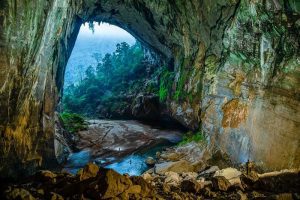 mơ thấy hang động đánh con gì