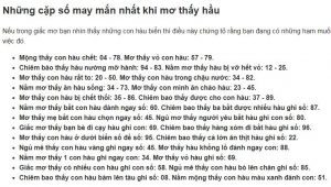 mơ thấy hàu biển đánh con gì