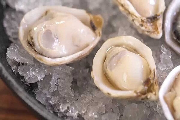 mơ thấy hàu biển đánh con gì - Hình 3