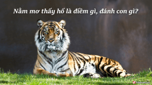 mơ thấy hổ đánh con gì