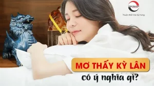 mơ thấy hươu cao cổ đánh con gì