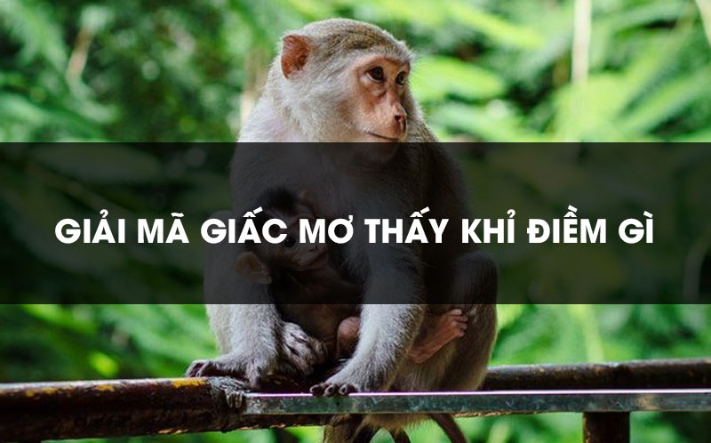 mơ thấy khỉ đánh con gì - Hình 5