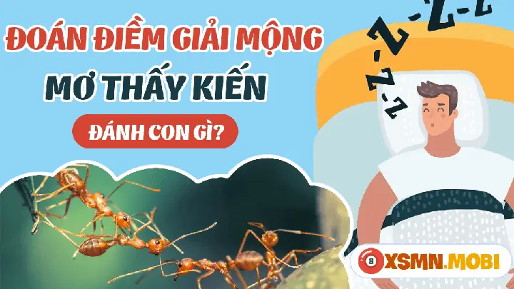 mơ thấy kiến đen đánh con gì - Hình 2