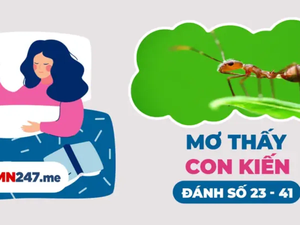 mơ thấy kiến lửa đánh con gì - Hình 5