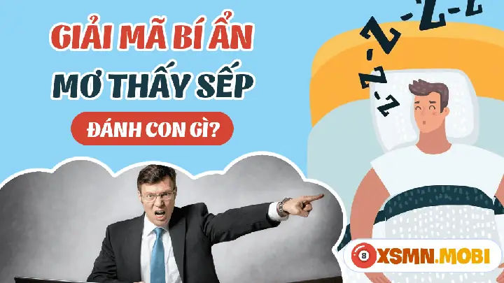 mơ thấy lãnh đạo đánh con gì - Hình 2