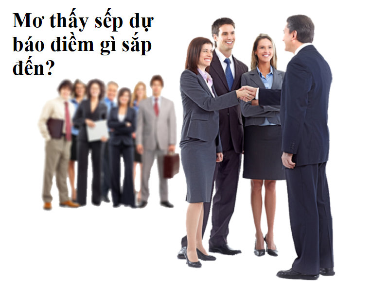 mơ thấy lãnh đạo đánh con gì - Hình 4