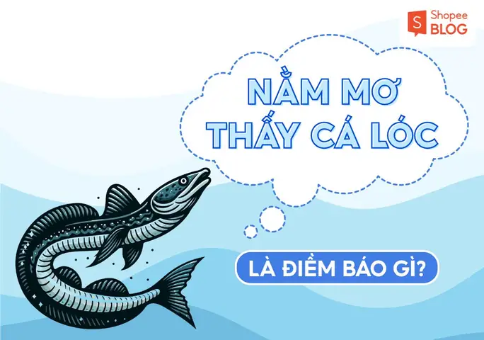mơ thấy mặc áo mới đánh con gì - Hình 4