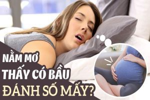 mơ thấy mang thai đánh con gì