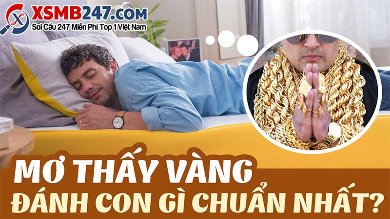 mơ thấy mất vàng đánh con gì - Hình 4