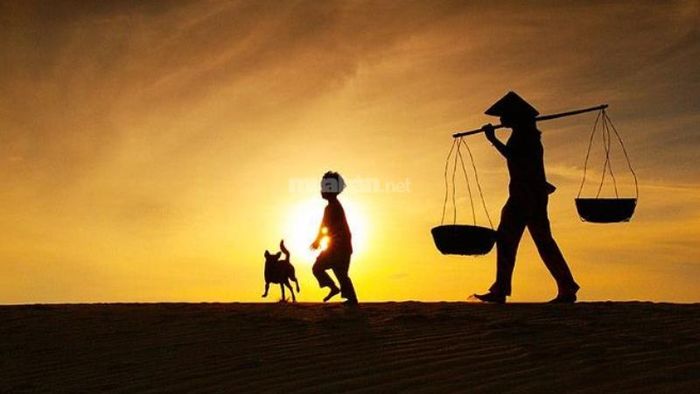 mơ thấy mẹ vợ đánh con gì - Hình 3