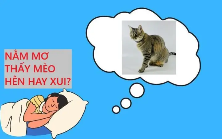 mơ thấy mèo cắn đánh con gì - Hình 1