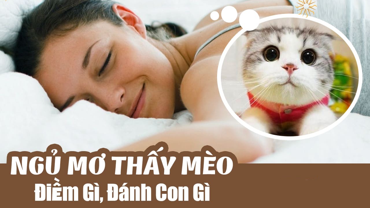 mơ thấy mèo con đánh con gì - Hình 4