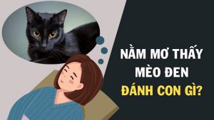 mơ thấy mèo đánh con gì