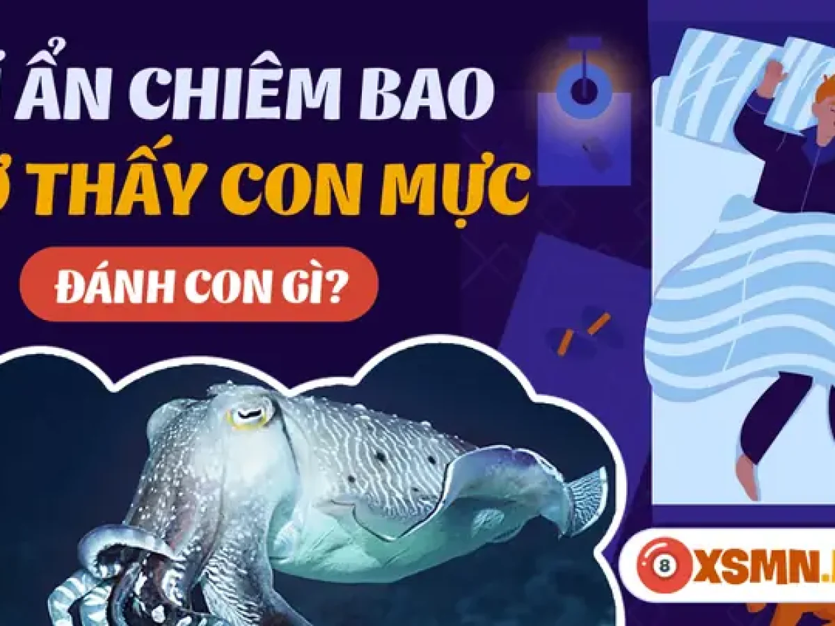 mơ thấy mực đánh con gì - Hình 5