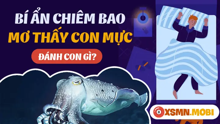 mơ thấy mực nang đánh con gì - Hình 1