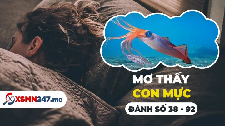 mơ thấy mực ống đánh con gì - Hình 2