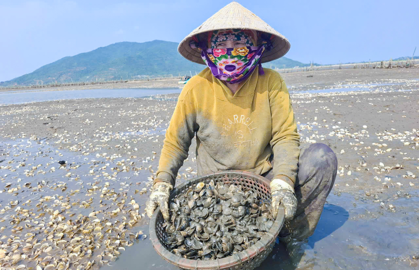 mơ thấy nghêu biển đánh con gì - Hình 4