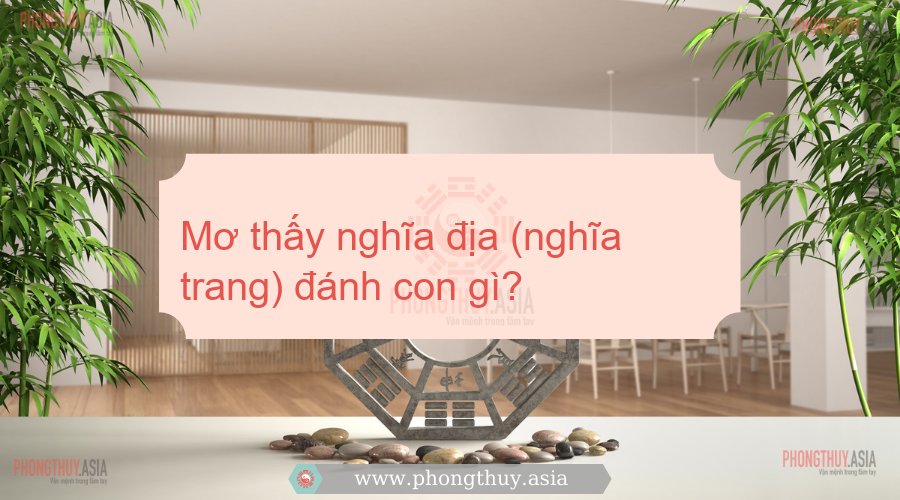 mơ thấy nghĩa địa đánh con gì - Hình 5