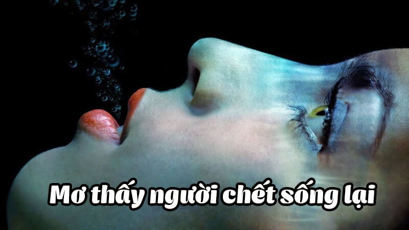 mơ thấy người chết sống lại đánh con gì - Hình 4
