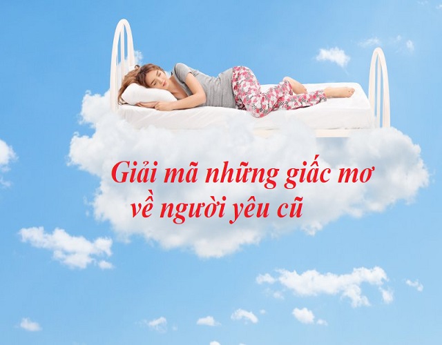 mơ thấy người yêu cũ đánh con gì - Hình 3