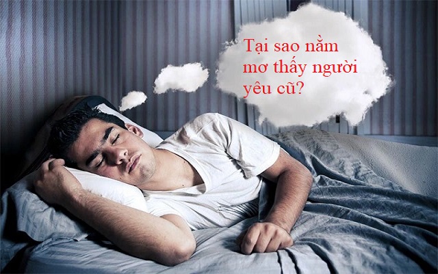 mơ thấy người yêu cũ đánh con gì - Hình 4