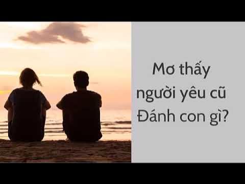 mơ thấy người yêu cũ đánh con gì - Hình 3