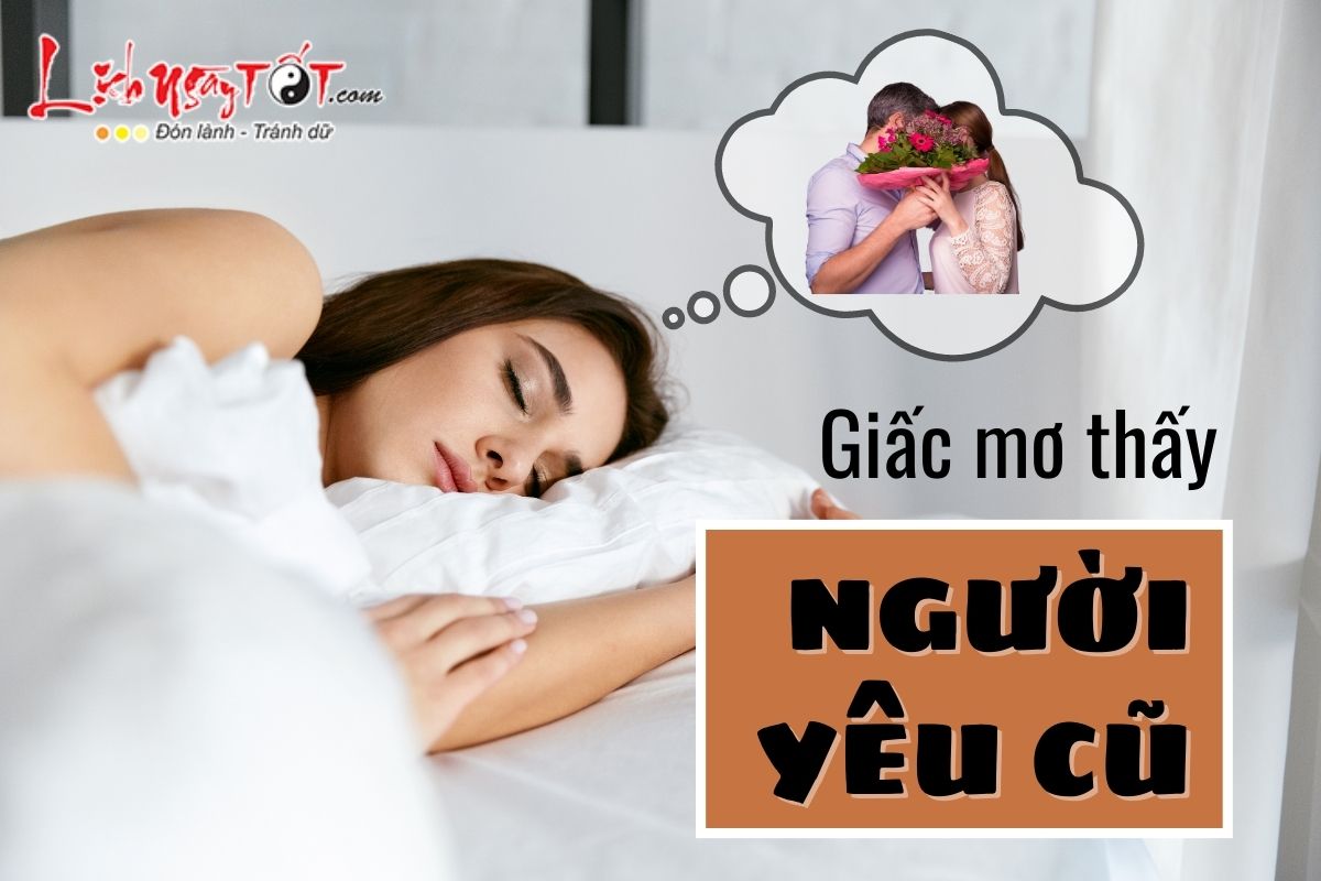 mơ thấy người yêu cũ đánh con gì - Hình 5