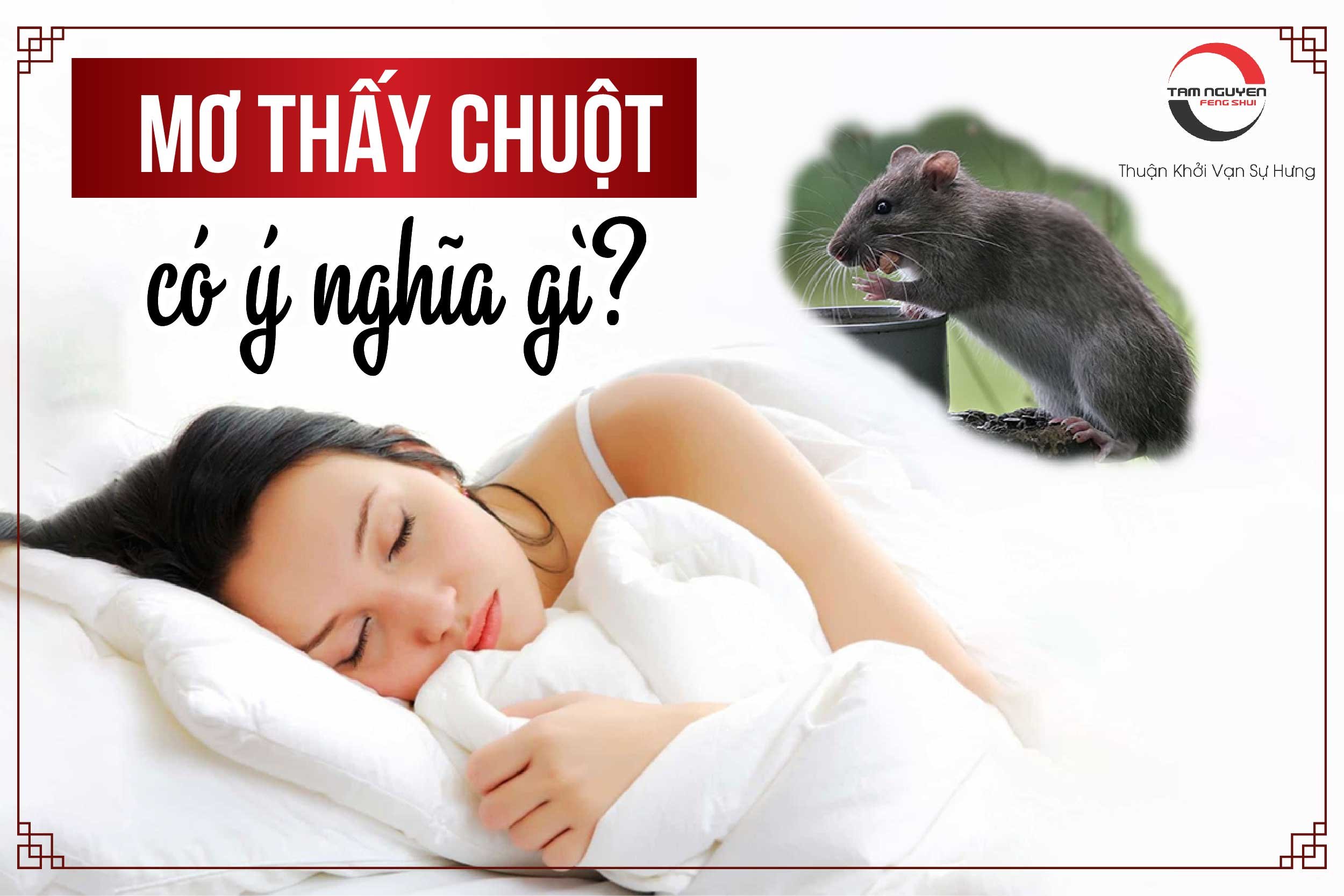 mơ thấy nhiều chuột đánh con gì - Hình 4