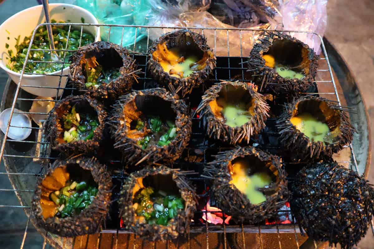 mơ thấy nhím biển đánh con gì - Hình 4