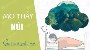 mơ thấy núi đánh con gì