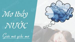 mơ thấy nước đánh con gì