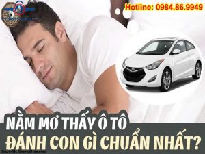 mơ thấy ô tô đánh con gì