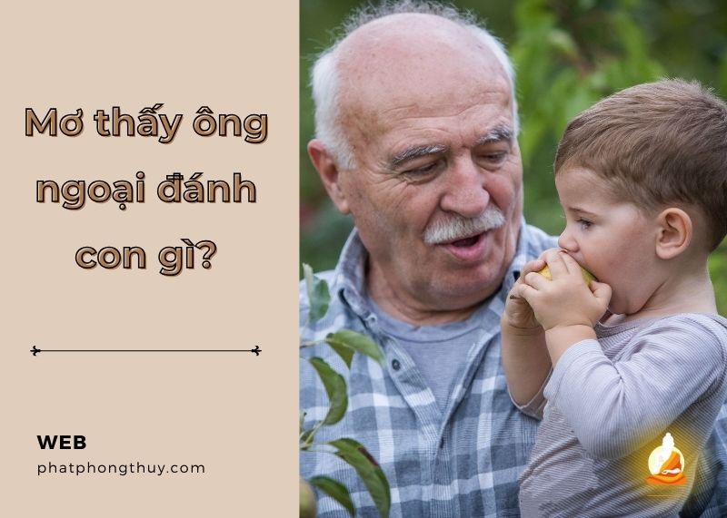 mơ thấy ông ngoại đánh con gì - Hình 1