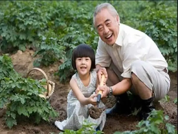 mơ thấy ông nội đánh con gì - Hình 1
