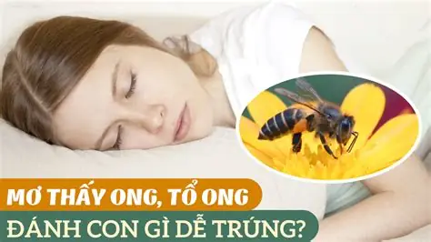 mơ thấy ong rừng đánh con gì - Hình 5