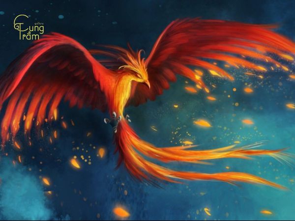 mơ thấy phượng hoàng đánh con gì - Hình 3