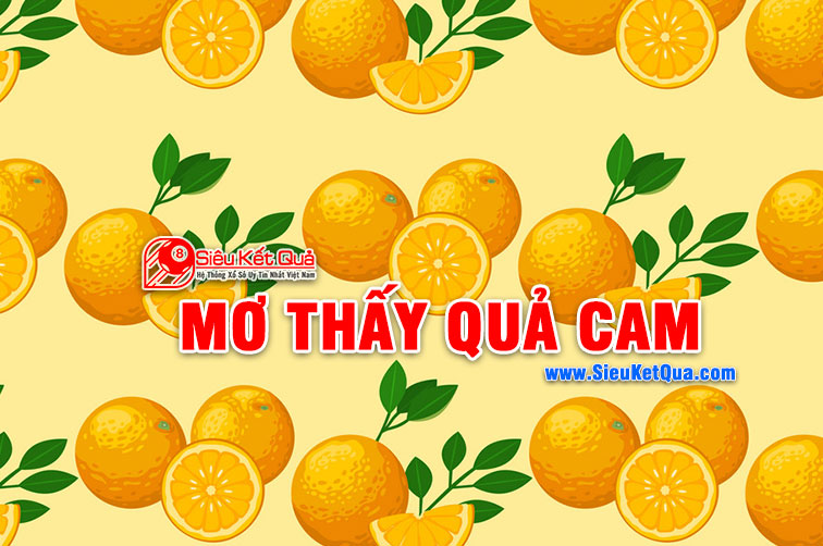 mơ thấy quả cam đánh con gì - Hình 4