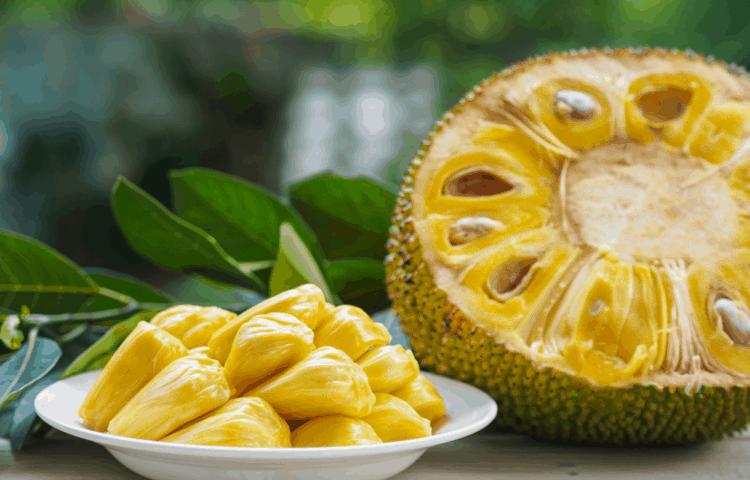 mơ thấy quả mít đánh con gì - Hình 1