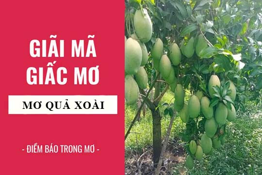 mơ thấy quả xoài đánh con gì - Hình 2