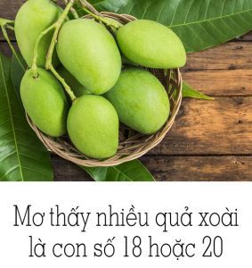 mơ thấy quả xoài đánh con gì