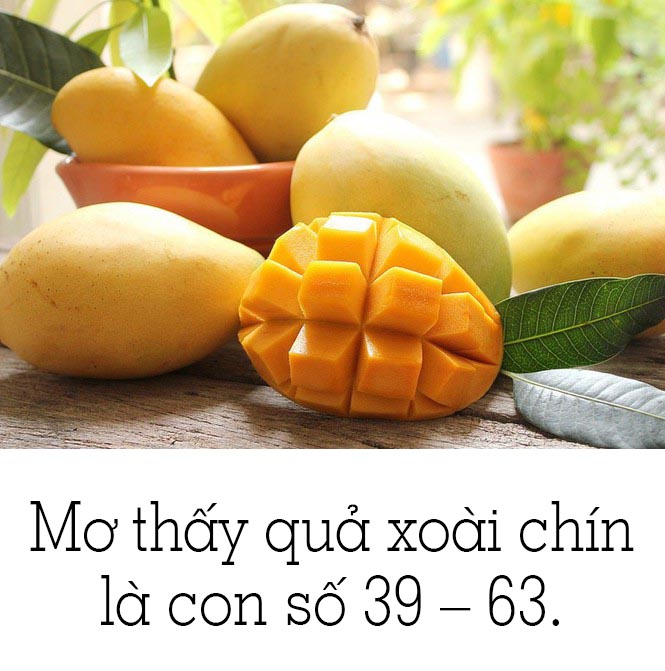 mơ thấy quả xoài đánh con gì - Hình 3