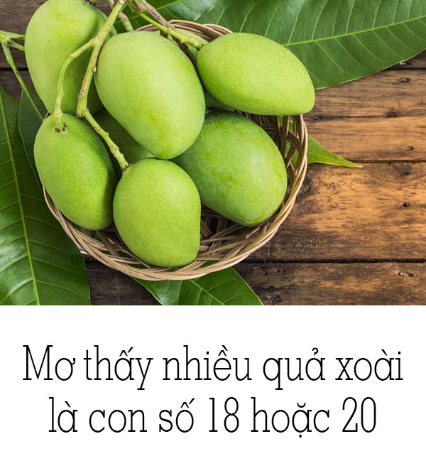 mơ thấy quả xoài đánh con gì - Hình 1