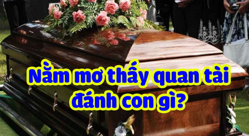 mơ thấy quan tài đánh con gì - Hình 1