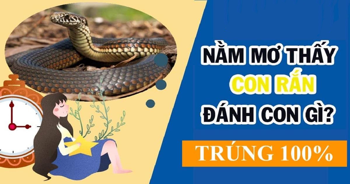 mơ thấy rắn nước đánh con gì - Hình 2