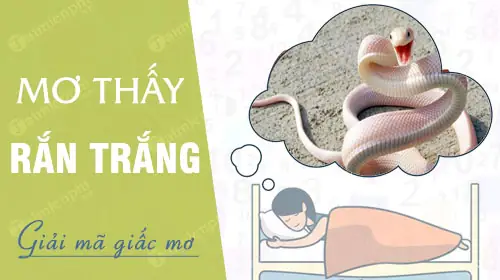 mơ thấy rắn trắng đánh con gì - Hình 1