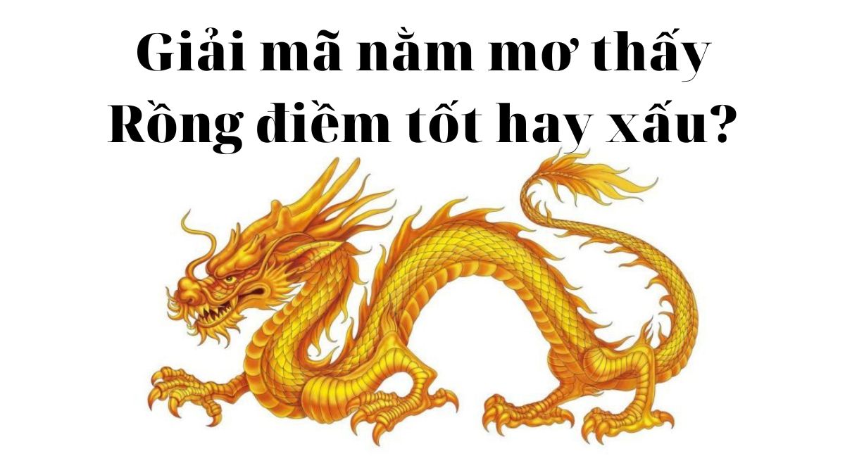 mơ thấy rồng đánh con gì - Hình 4