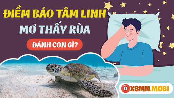 mơ thấy rùa biển đánh con gì - Hình 4